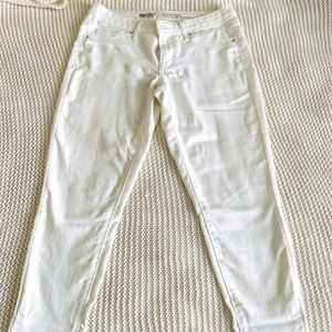 White jean crop